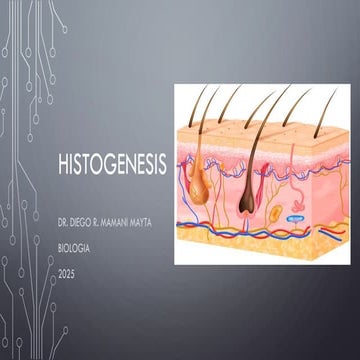 Comprehensive Overview of Histogenesis and Tissue Classification in ...
