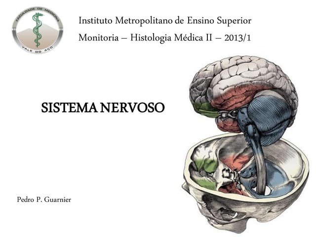 Histo II - Sist. Nervoso