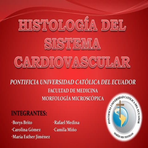Histología del sistema cardiovascular