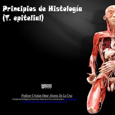 Histología (Tejido Epitelial)