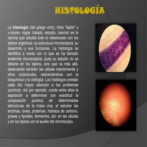 Histologia