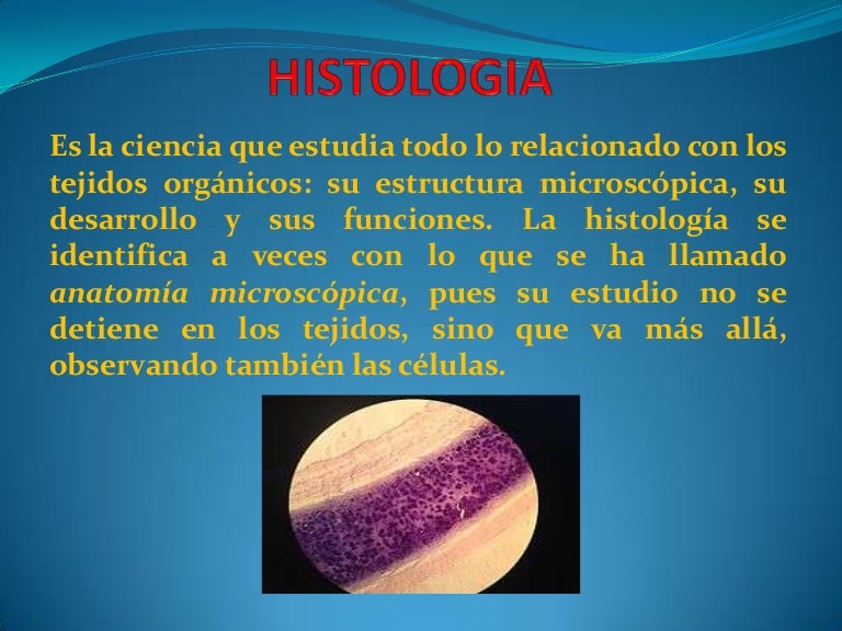Histologia Que Es Concepto Definicion Tipos Images