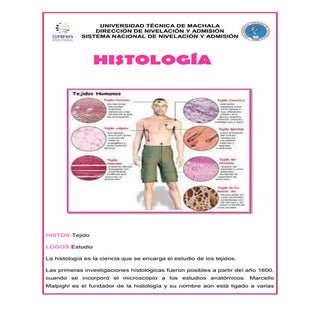 Histologia