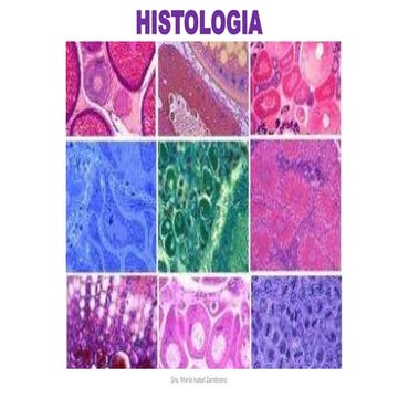 Histologia