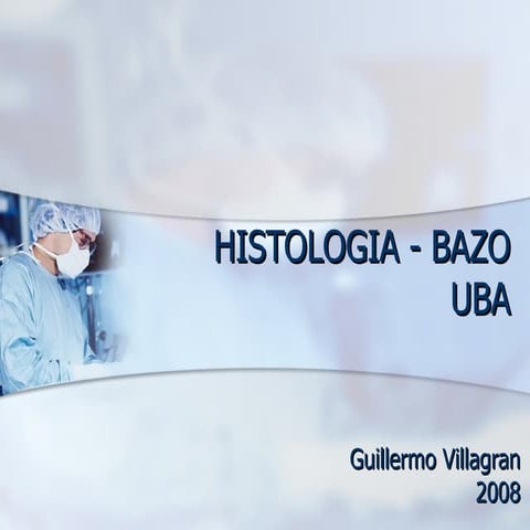 Histologia   Bazo