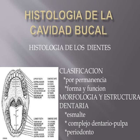 Histologia de la cabidad bucal