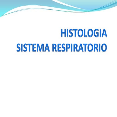 Histologia del sistema respiratorio 