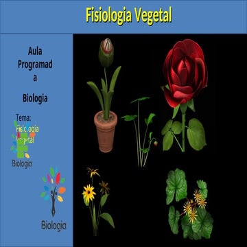 Histologia e Fisiologia Vegetal.ppt Aula