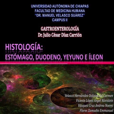 Histologia estomago,duodeno y yeyuno