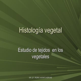 Histologia vegetal