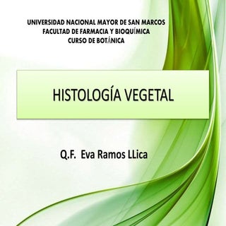 Histologia vegetal resumen