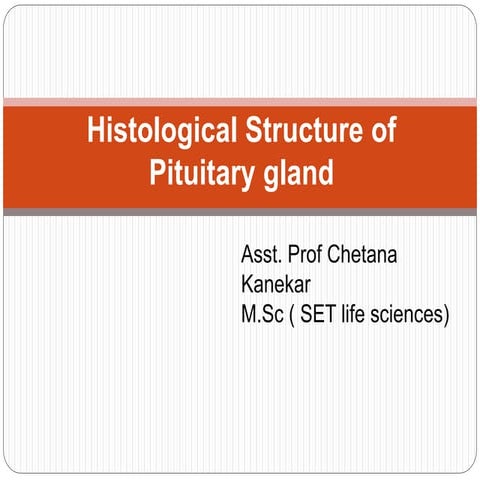 Histological structure of pituitory gland