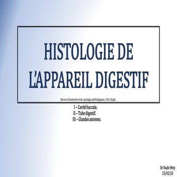 Histologie du Tube Digestif (Chapitre 2/3, Histologie de l'appareil digestif)