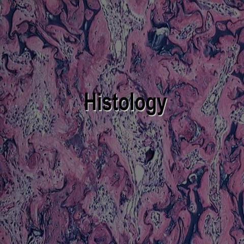 Histology 1 fro medicine and science student 