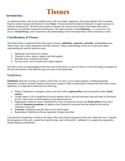 Moulting in Insect by sami | PPSX | Skin and Dermatology | Diseases and ...