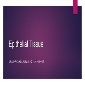 Basal Lamina / Extracellular matrix / Base membrane | PDF