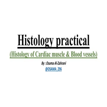 Histology (histology of cardiac muscle and blood vessels)