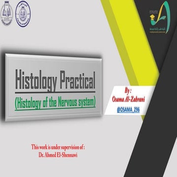 Histology Of The Nervous System The Neuron Part 1 Biology Facts