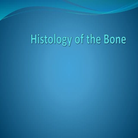 Histology of bone