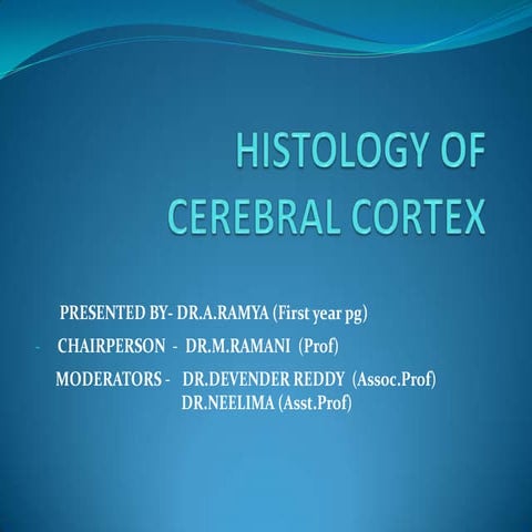 Histology of                cerebral cortex