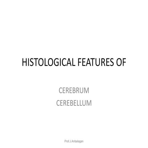Histology of cerebrum and cerebellum