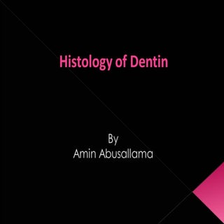 Histology of dentin