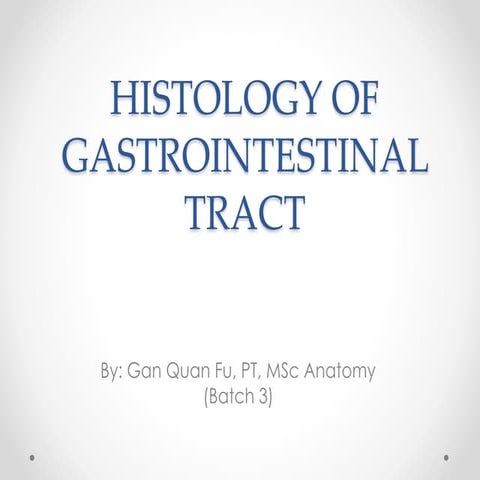 Histology of gastrointestinal tract