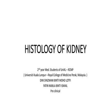 Histology of Kidney