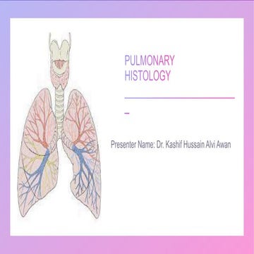 Histology of Lungs