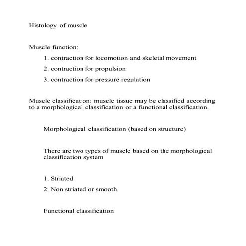 Histology of muscle 