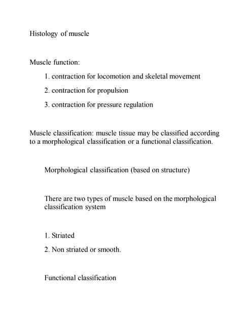 Insect Muscular System | PPTX | Biological Sciences | Science
