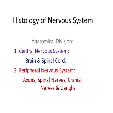 Histology of Nervous System 11st yr.pptx