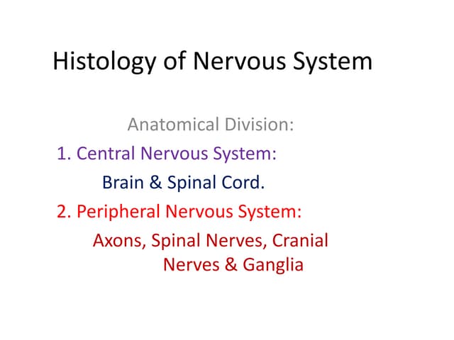 Histology of the nervous system | PPT