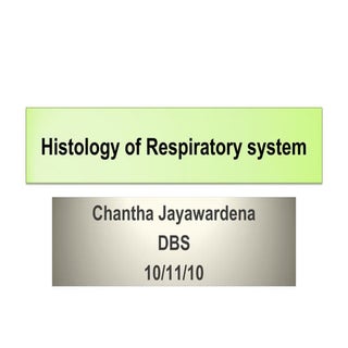 Histology of respiratory system