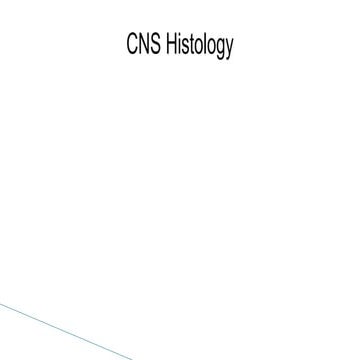 Histology of the CNS.pptx including neurons