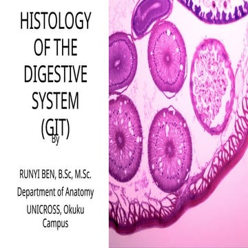 Histology of the digestive system by Runyi Ben.pptx