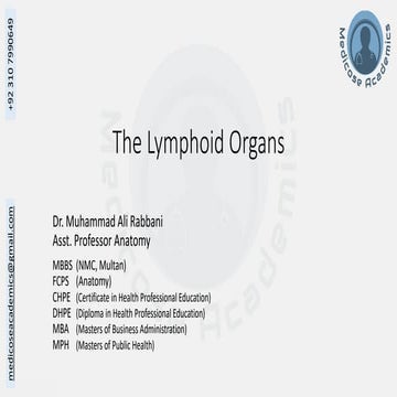 Histology of the Lymphoid Organs - Dr Muhammad Ali Rabbani