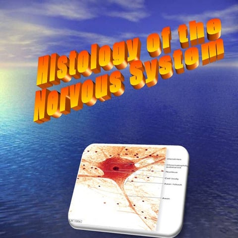 Histology of the nervous system | PPT