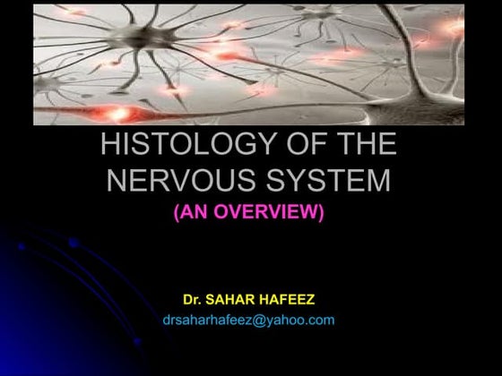 Ppt Histology Of The Peripheral Nervous System Powerpoint Central And