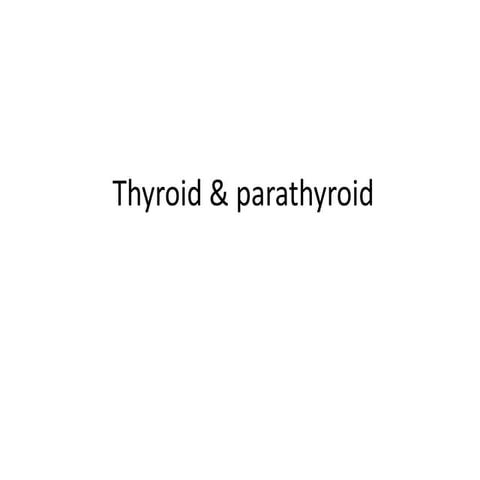 Histology of thyroid and parathyroid, tongue