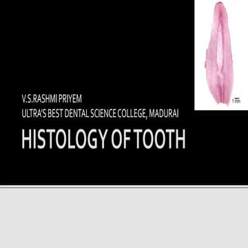Histology of tooth