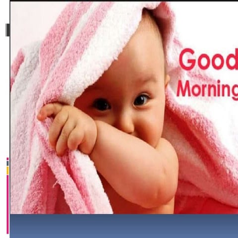 Histology of trachea and lung