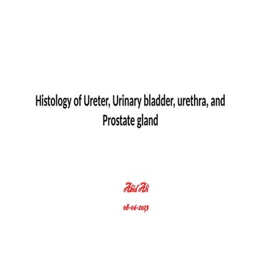 Histology of Ureter, Urinary bladder, urethra, and Prostate gland.pptx