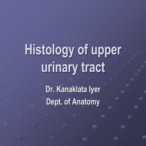 Histology of whole  urinary tract