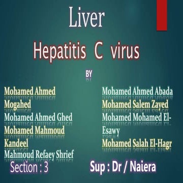 Hepatitis C virus 