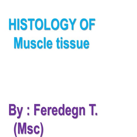 histo muscular system (1).presentatin ptx