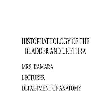 histopathology of bladder and urethra.pptx