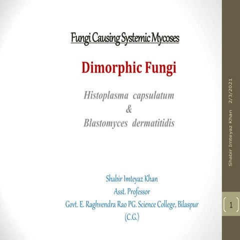 Blastomyces  dermatitidis & Histoplasma  capsulatum