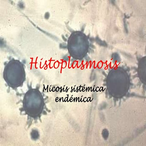 IDENTIFICACION HISTOPLASMA SPP