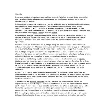 Historia bulldog